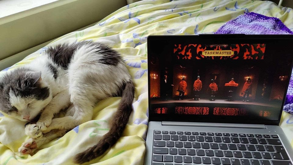 Cat next to Laptop