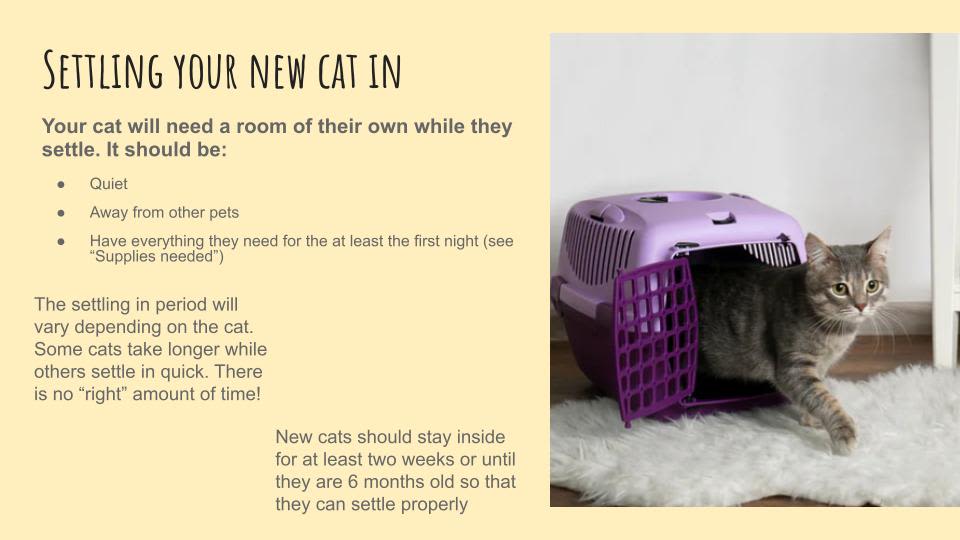A slide from a presentation explaining how to help a cat settle in from Yorkshire Cat Rescue