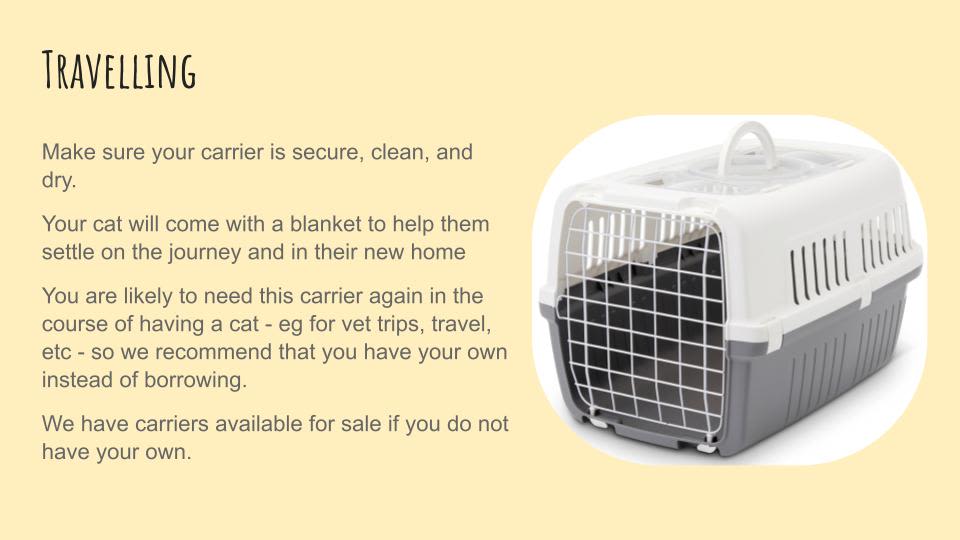 A slide from a presentation explaining how to transport a cat from Yorkshire Cat Rescue