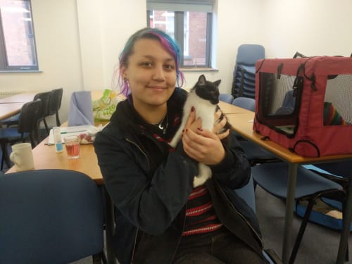 Yorkshire Cat Rescue at Leeds University with students and kittens