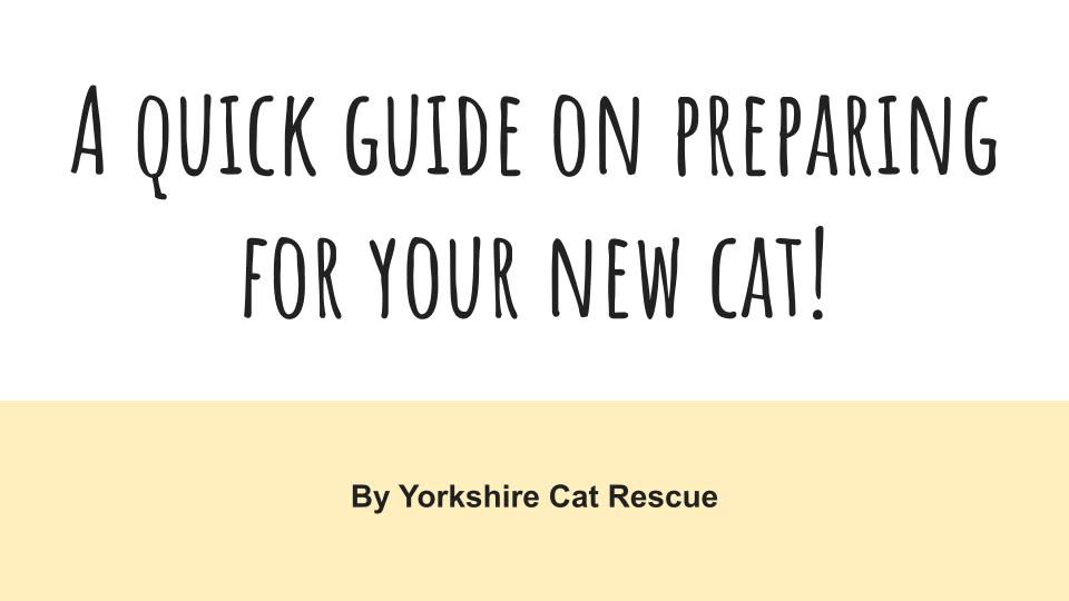 The title slide from a presentation about adopting from Yorkshire Cat Rescue